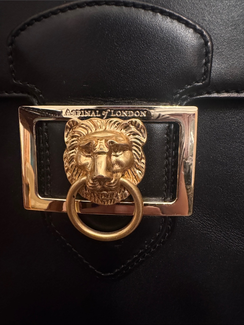 Black Leather Men’s Briefcase with Gold Lion Lock